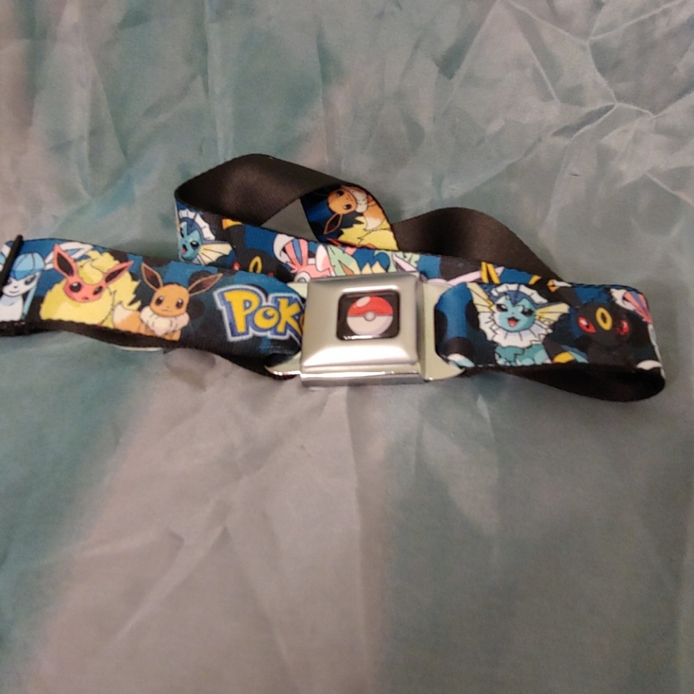 Seatbelt buckle belt